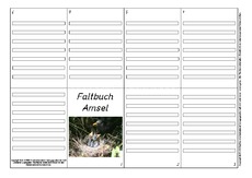 Faltbuch-Amsel-L-6.pdf